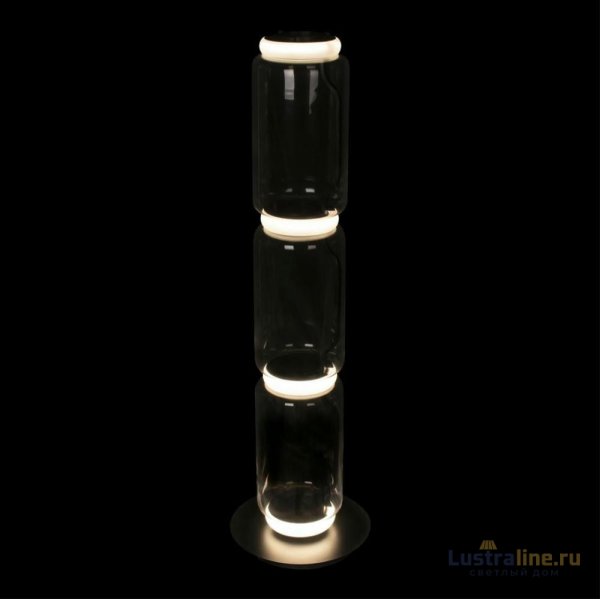 Торшер Loft IT Noctambule 10194F/M