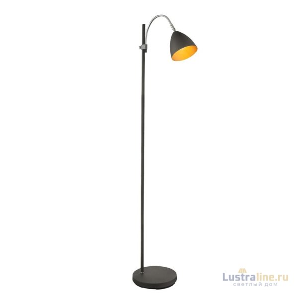 Торшер Globo Archibald 24858S