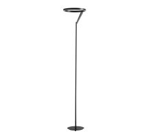 Торшер Divinare Sole 3234/06 PN-1