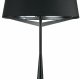 Торшер Indigo Maestria 11041/1F Black V000464