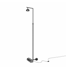 Торшер Maytoni Pikant MOD372FL-L10B3K