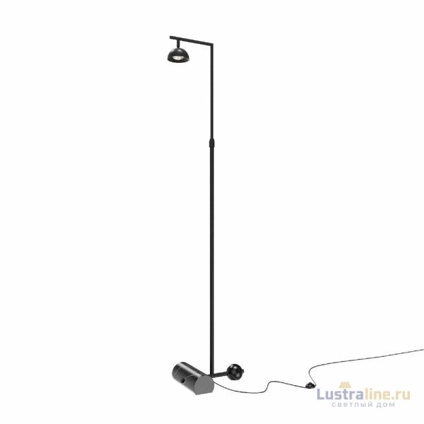 Торшер Maytoni Pikant MOD372FL-L10B3K