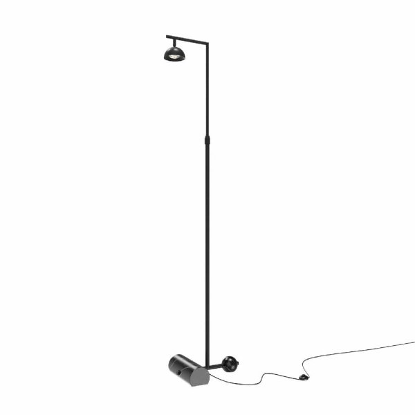 Торшер Maytoni Pikant MOD372FL-L10B3K