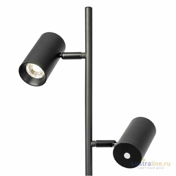 Торшер Citilux Twin CL809011N Торшер Citilux Twin CL809011N