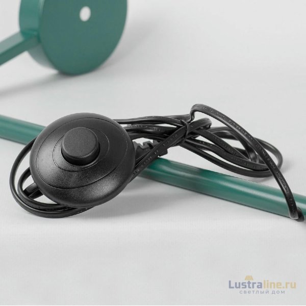 Торшер Lussole Boise LSP-0917