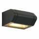 Фасадный светильник ST Luce Protech SL9540.701.01