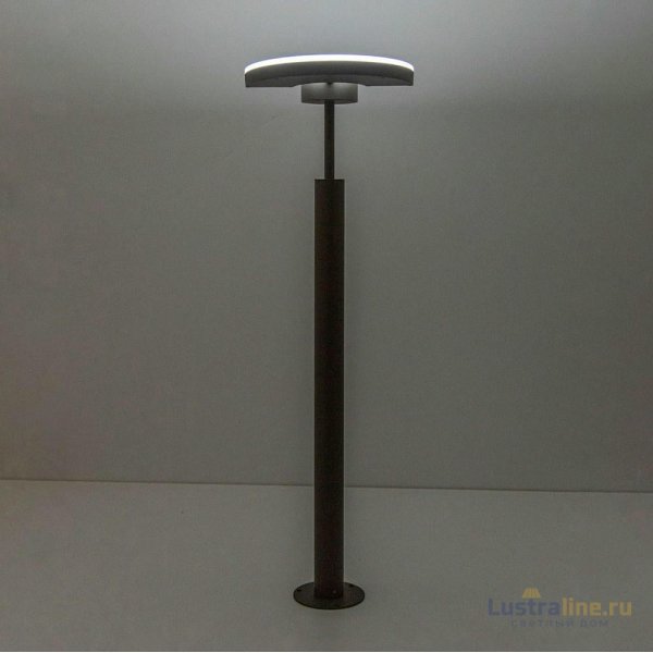 Уличный светодиодный светильник Citilux CLU03B1