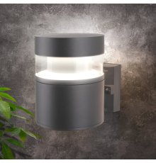 Уличный настенный светодиодный светильник Elektrostandard 1530 Techno Led серый 4690389163296