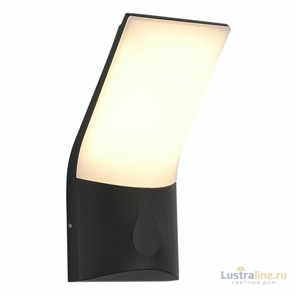 Фасадный светильник ST Luce Bright SL9543.701.01