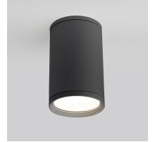 Уличный потолочный светильник Elektrostandard Light 4690389175909