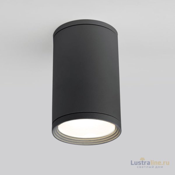 Уличный потолочный светильник Elektrostandard Light 4690389175909