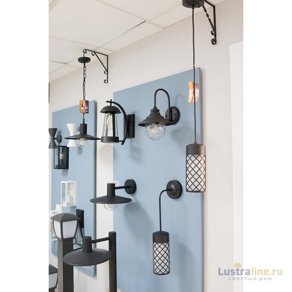 Настенный светильник Odeon Light 4834/1W Настенный светильник Odeon Light 4834/1W