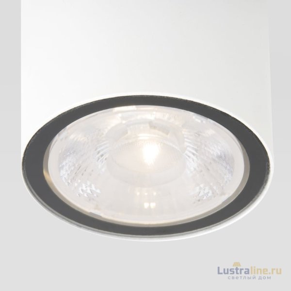 Уличный потолочный светильник Elektrostandard Light LED 4690389176579