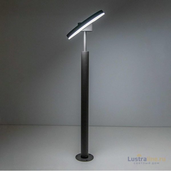 Уличный светодиодный светильник Citilux CLU03B1