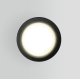 Уличный потолочный светильник Elektrostandard Light 4690389175909