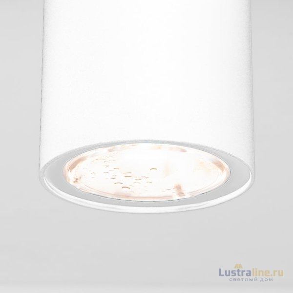 Уличный потолочный светильник Elektrostandard Light LED 4690389176555