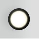 Уличный потолочный светильник Elektrostandard Light 4690389175916