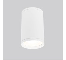 Уличный потолочный светильник Elektrostandard Light 4690389175893