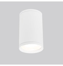 Уличный потолочный светильник Elektrostandard Light 4690389175893