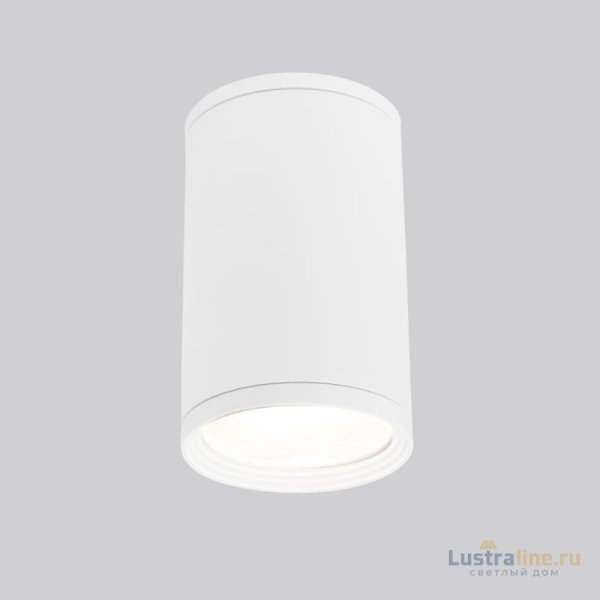 Уличный потолочный светильник Elektrostandard Light 4690389175893