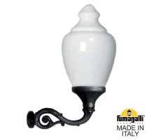 Уличный настенный светильник Fumagalli C50.171.000.AYE27