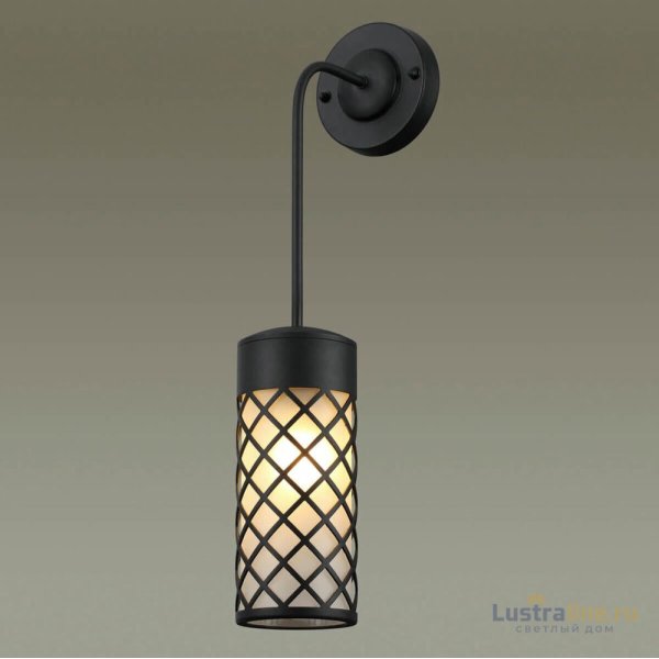 Настенный светильник Odeon Light 4834/1W Настенный светильник Odeon Light 4834/1W