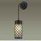 Настенный светильник Odeon Light 4834/1W