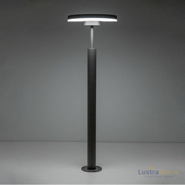 Уличный светодиодный светильник Citilux CLU03B1