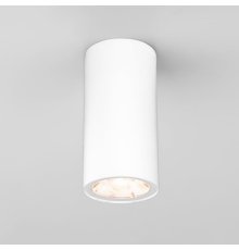 Уличный потолочный светильник Elektrostandard Light LED 4690389176555