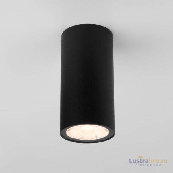 Уличный потолочный светильник Elektrostandard Light LED 4690389176562