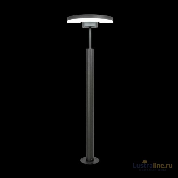 Уличный светодиодный светильник Citilux CLU03B1