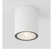 Уличный потолочный светильник Elektrostandard Light LED 4690389176579