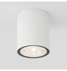 Уличный потолочный светильник Elektrostandard Light LED 4690389176579