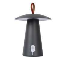 Переносной светодиодный фонарь Lucide LA DONNA 27500/02/29