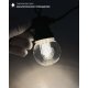 Светодиодная гирлянда Прозрачная колба Laitcom (LTC) BLL10G-11-1W