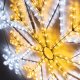 Фигура Arlight ARD-Snowflake-M12-900x900-720LED White/Warm 034262