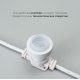 Гирлянда Белт-Лайт Laitcom (LTC) BL50m/250L-8