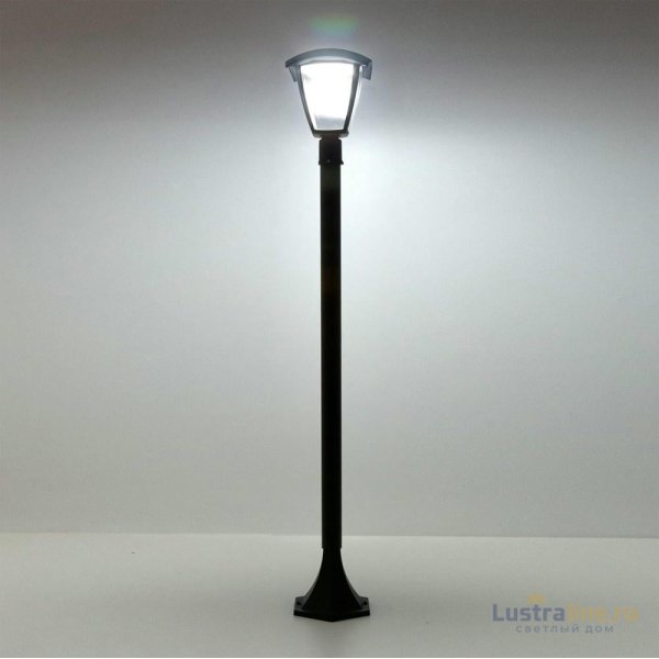 Уличный светодиодный светильник Citilux CLU04B