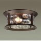 Уличный потолочный светильник Odeon Light Mavret 4961/2C