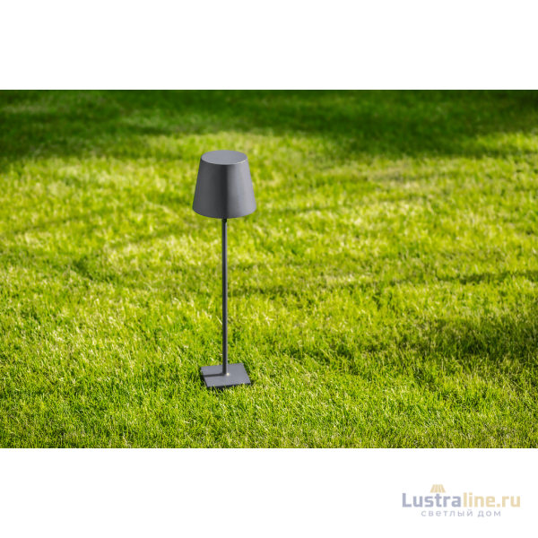 Ландшафтный светильник DesignLed FL-1793-650-7-GR-WW 007616