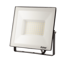 Прожектор Ritter Profi 53429 1 УЦ