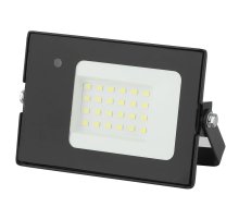 Прожектор светодиодный ЭРА LPR-041-1-65K-020 Б0043574