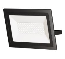 Прожектор Maytoni Flood FL001-L50B4K