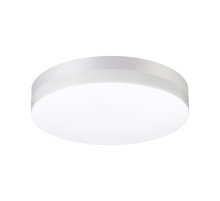 Уличный настенно-потолочный светильник Novotech Street 358885 Уличный настенно-потолочный светильник Novotech Street 358885