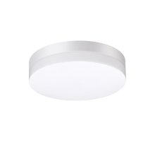 Уличный настенно-потолочный светильник Novotech Street 358881