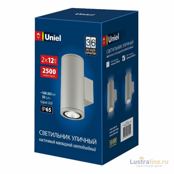 Уличный настенный светильник Uniel ULU-S22D-2x12W/6400K IP65 LIGHT GREY UL-00011085 Уличный настенный светильник Uniel ULU-S22D-2x12W/6400K IP65 LIGHT GREY UL-00011085