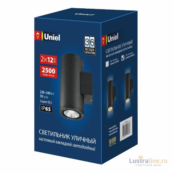 Уличный настенный светильник Uniel ULU-S22D-2x12W/6400K IP65 BLACK UL-00010848 Уличный настенный светильник Uniel ULU-S22D-2x12W/6400K IP65 BLACK UL-00010848