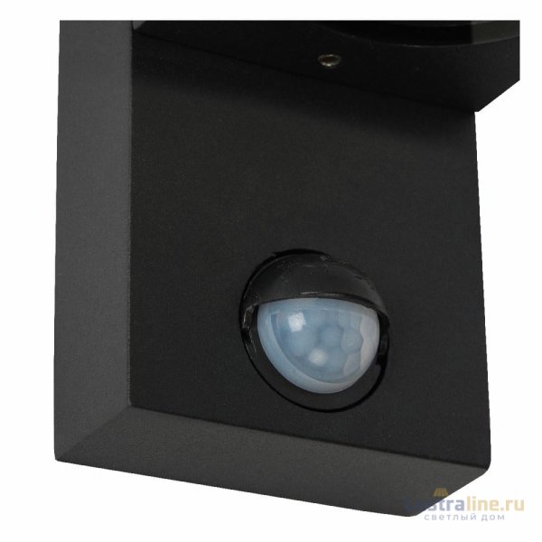 Уличный настенный светильник Lucide Zaro ir 69803/02/30