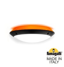 Уличный настенный светильник Fumagalli Lucia 1R3.000.000.AYE27OR1