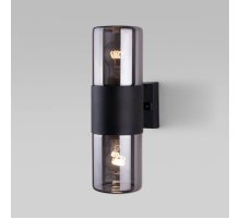 Уличный настенный светильник Elektrostandard Roil 4690389175381 Уличный настенный светильник Elektrostandard Roil 4690389175381